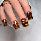 Gilded Tortoise ⭐
