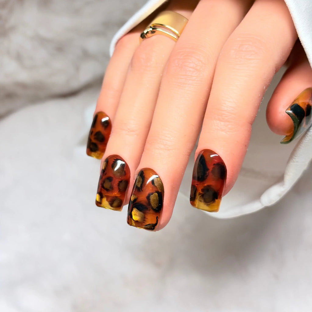Gilded Tortoise ⭐