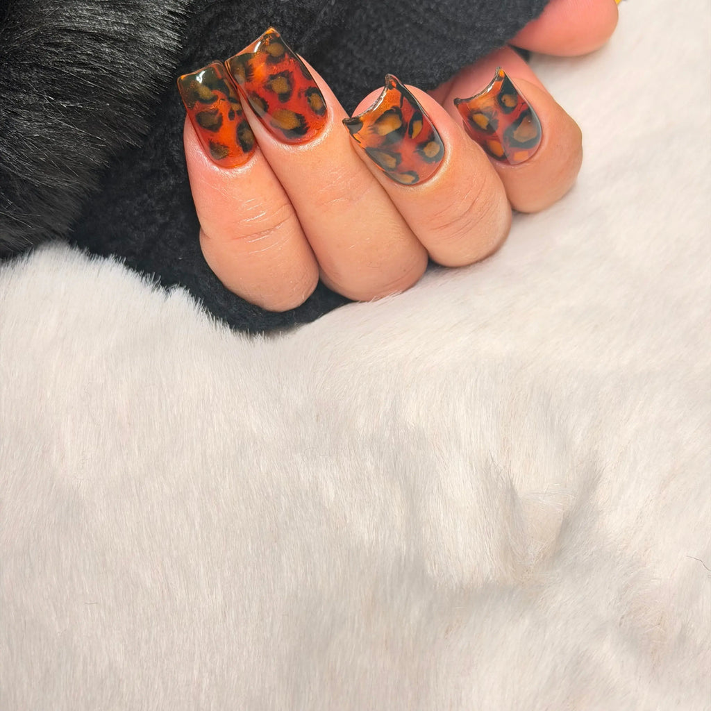 Gilded Tortoise ⭐