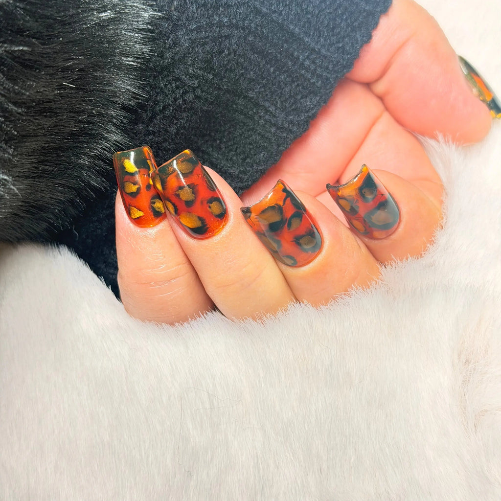 Gilded Tortoise ⭐
