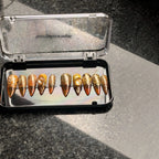 Press to Impress Golden Safari press-on nails with amber glass French tips, animal print, and gold gem accents.