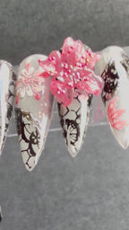 Cherry Blossom