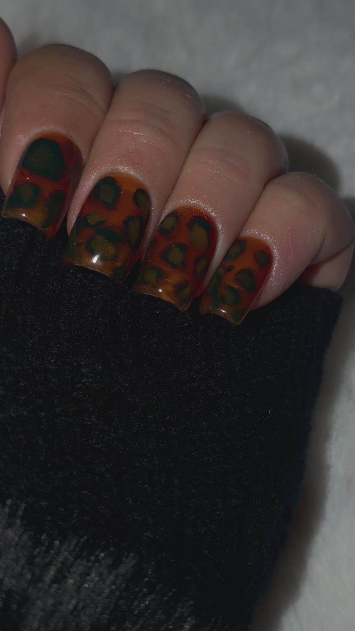Gilded Tortoise ⭐